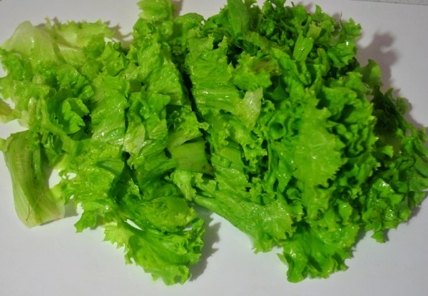 Зеленый листовой салат для греческого салата